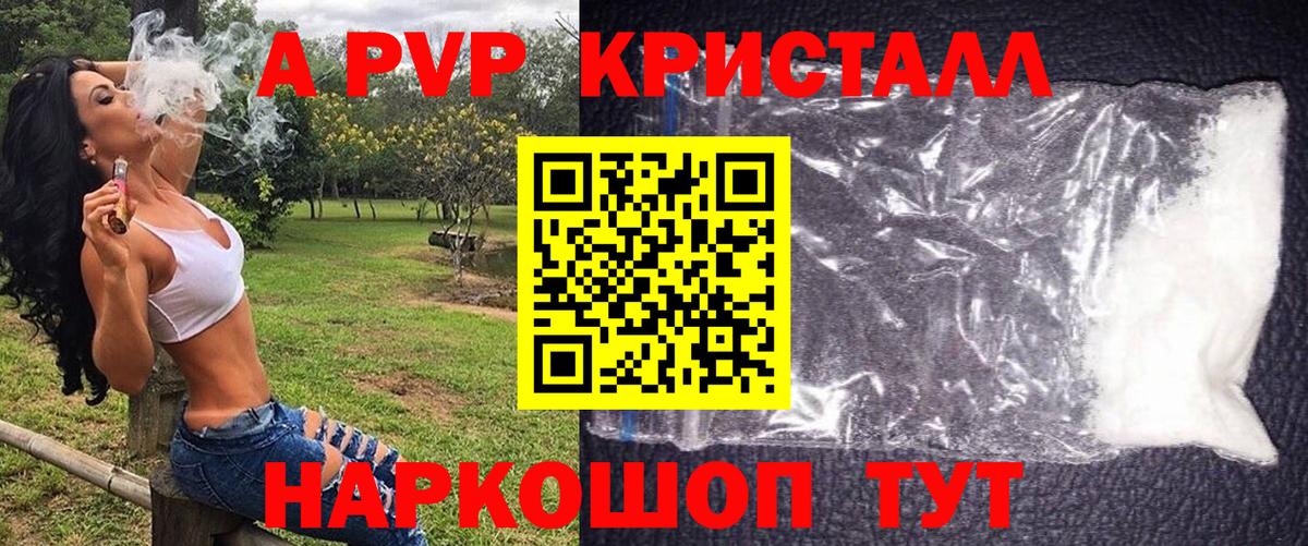 Alfa_PVP СК Владимир