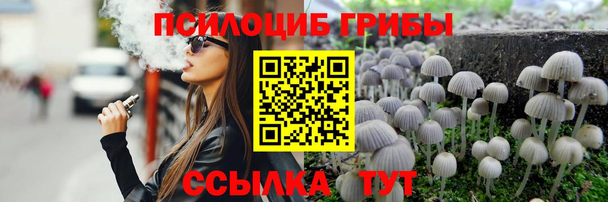 Галлюциногенные грибы Psilocybine cubensis Владимир